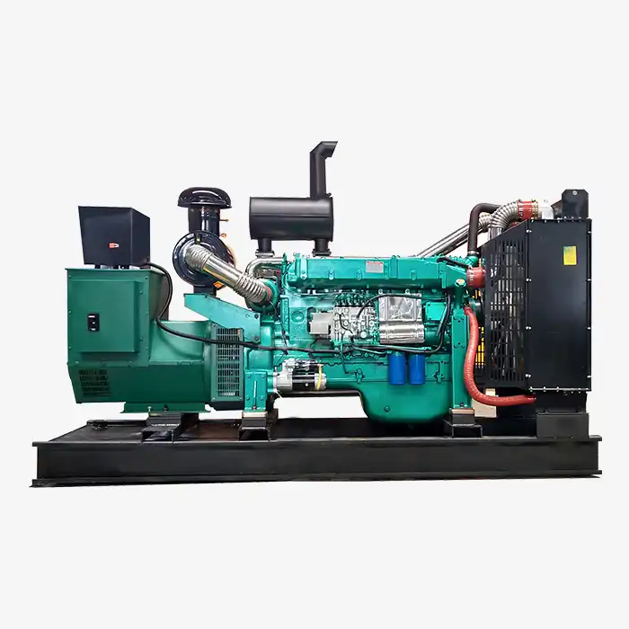 Generador de energía diésel de 250 kVA